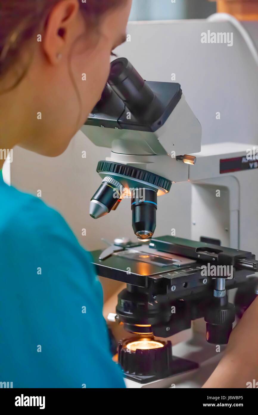 Nurse closely examines a patient`s slide under a microscope Stock Photo